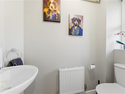 Picture 14